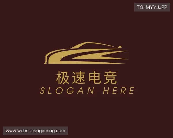 关于极速电竞团队